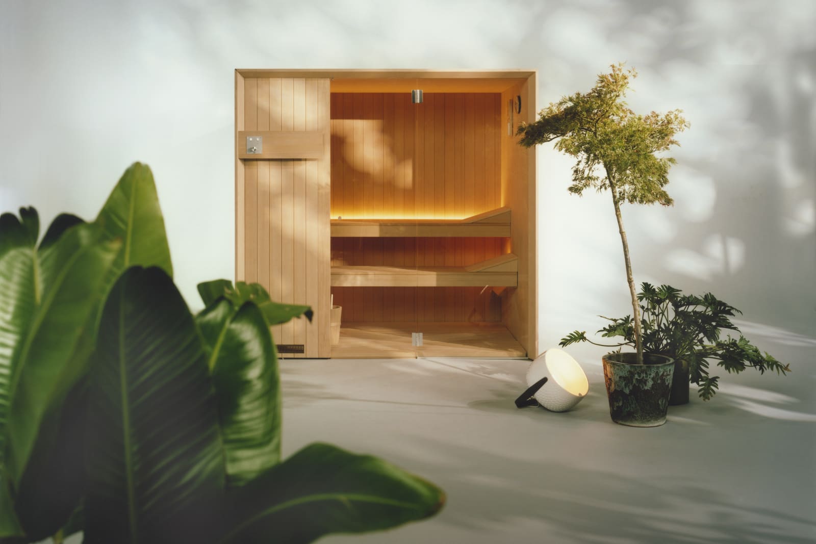 A compact timber sauna cabin with a glazed door, two-tier benches and warm strip lighting inside, standing against a pale wall patterned with leaf shadows, with a large-leaved plant in the foreground, a small tree in a pot beside it and a white dome lamp on the floor